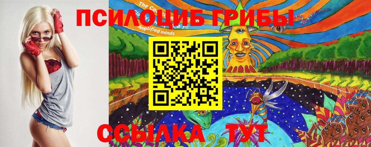 Михайловка  Псилоцибиновые грибы Psilocybe  Вход с VPN  Псилоцибиновые грибы Psilocybine cubensis 
